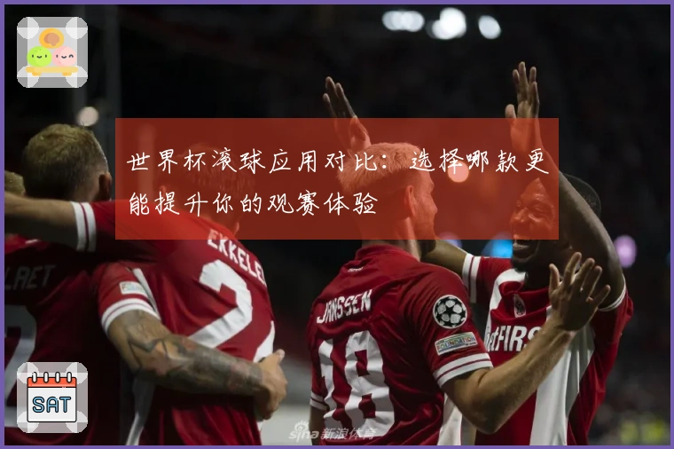 世界杯滚球应用对比：选择哪款更能提升你的观赛体验