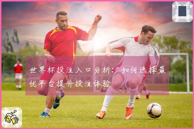 世界杯投注入口分析：如何选择最优平台提升投注体验