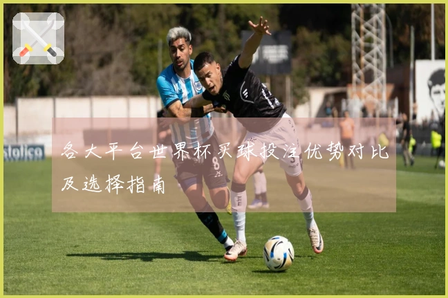 各大平台世界杯买球投注优势对比及选择指南