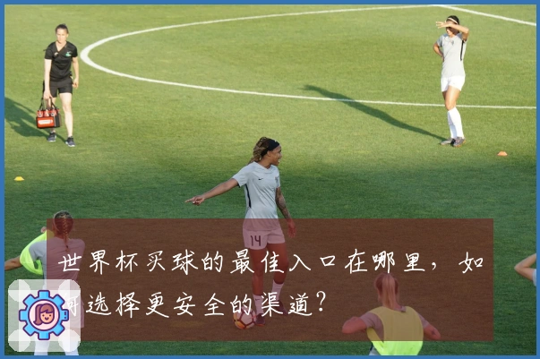 世界杯买球的最佳入口在哪里，如何选择更安全的渠道？