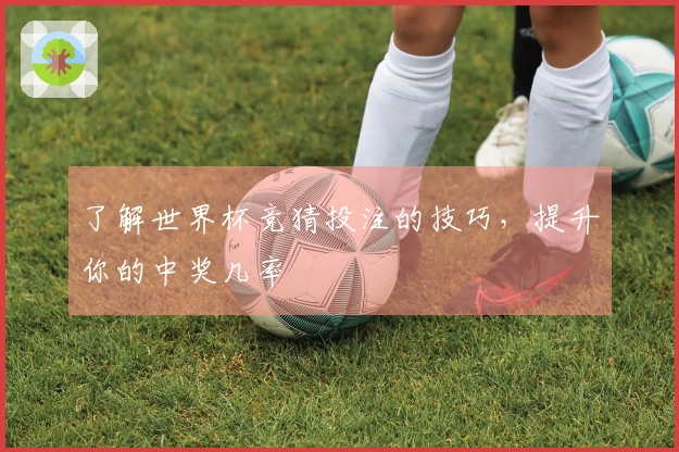 了解世界杯竞猜投注的技巧，提升你的中奖几率