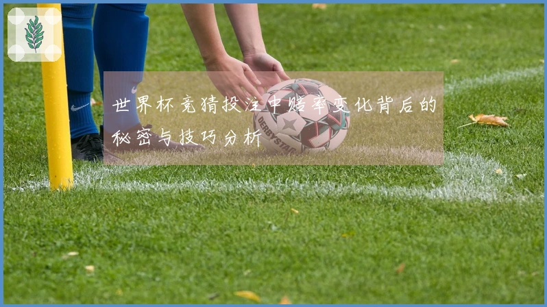 世界杯竞猜投注中赔率变化背后的秘密与技巧分析