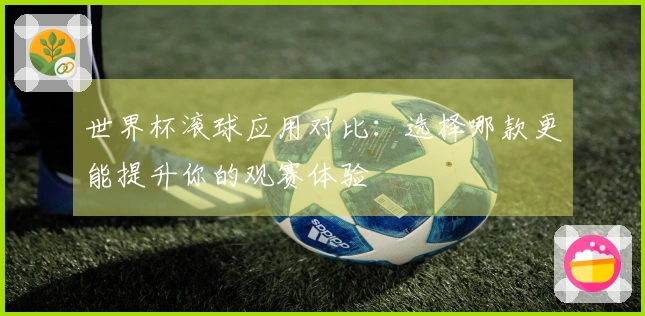 世界杯滚球应用对比：选择哪款更能提升你的观赛体验